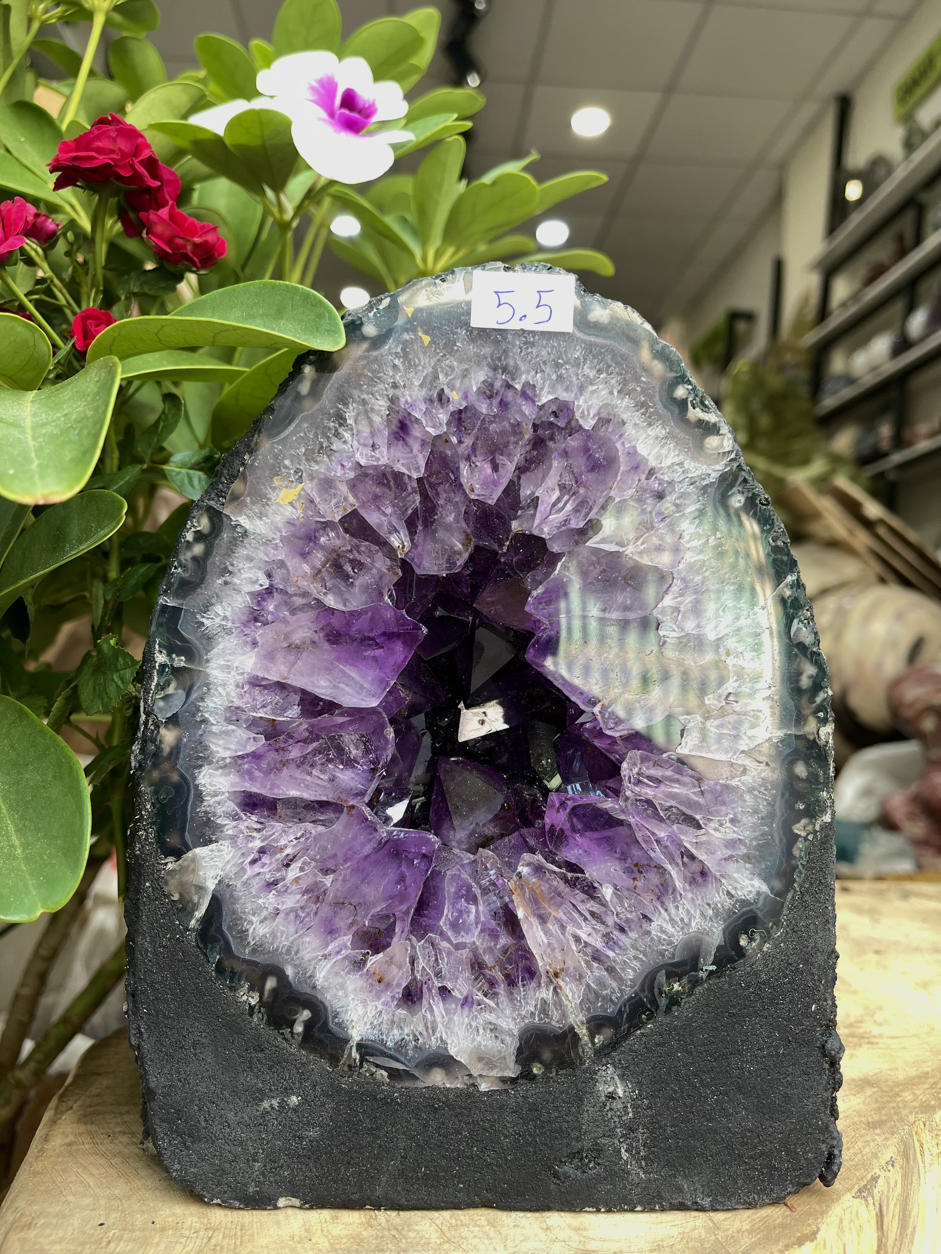 HỐC THẠCH ANH TÍM – AMETHYST GEODE – KT : 20X15KG, 5.5KG (T84)