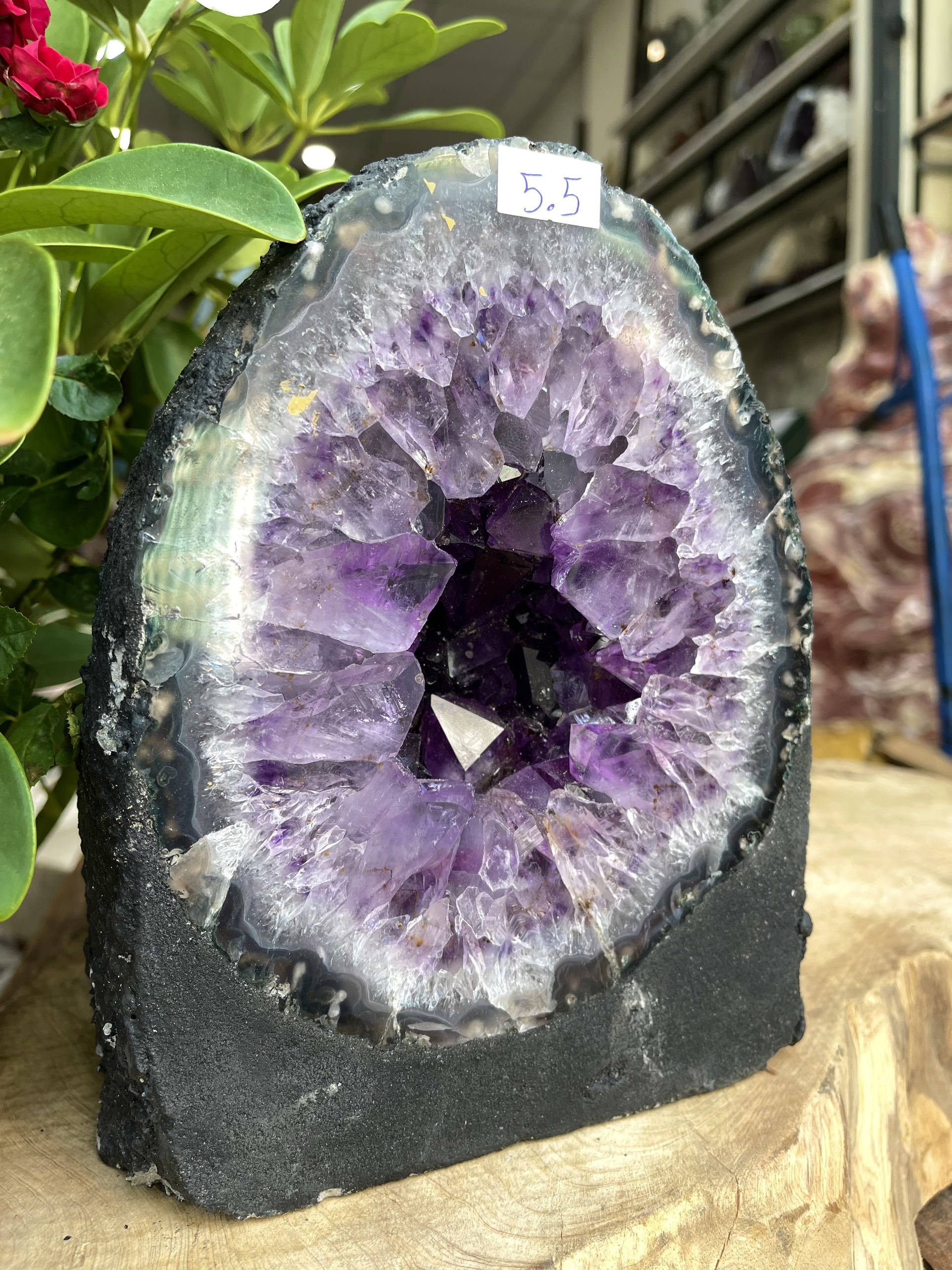 HỐC THẠCH ANH TÍM – AMETHYST GEODE – KT : 20X15KG, 5.5KG (T84)