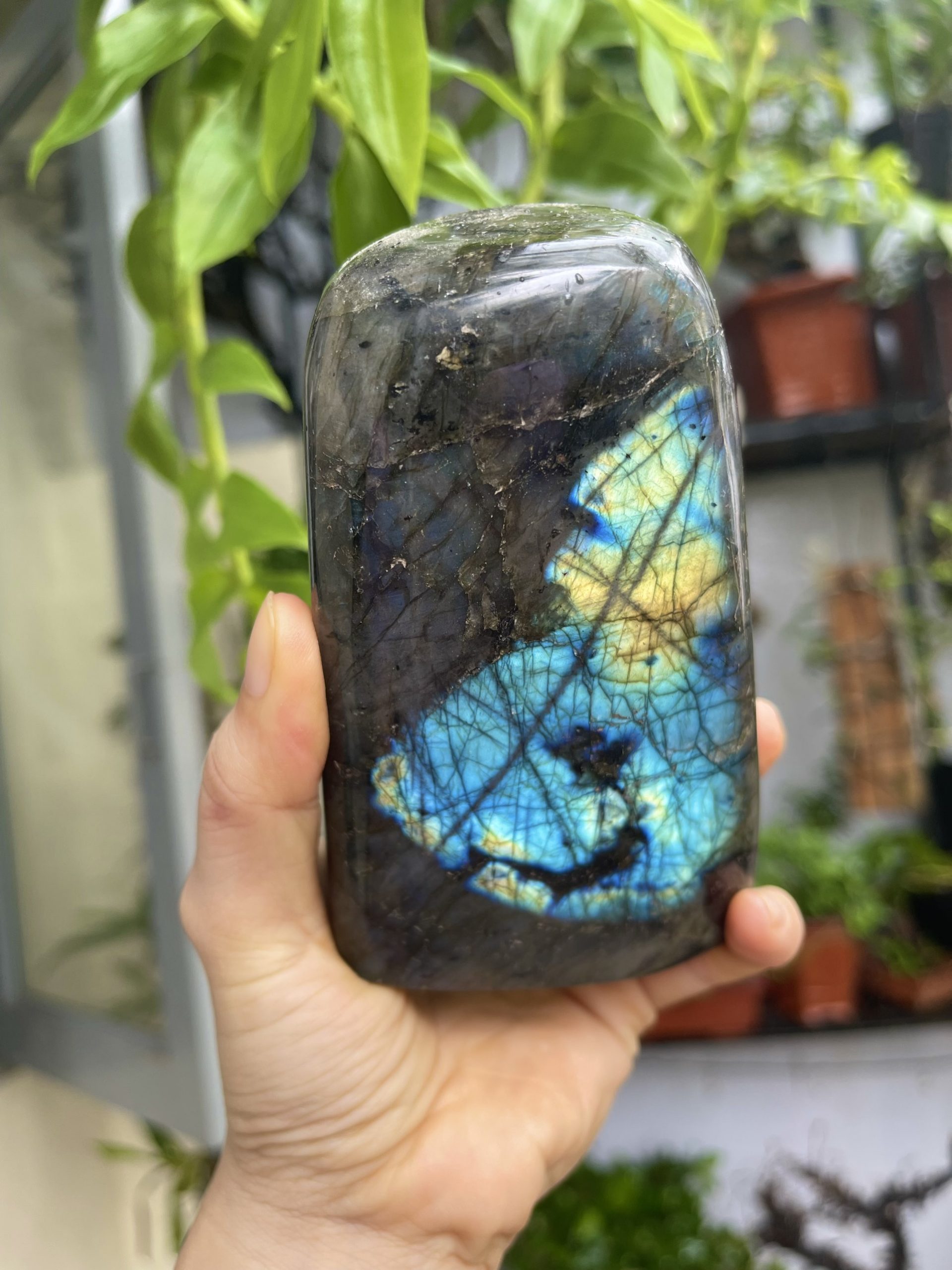 đá Xà Cừ - Labradorite